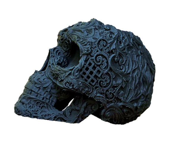 Skull 1