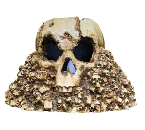 Skull 3