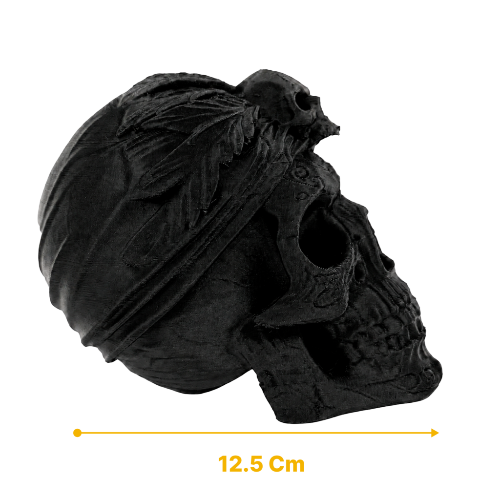 Skull Pirata vista 9