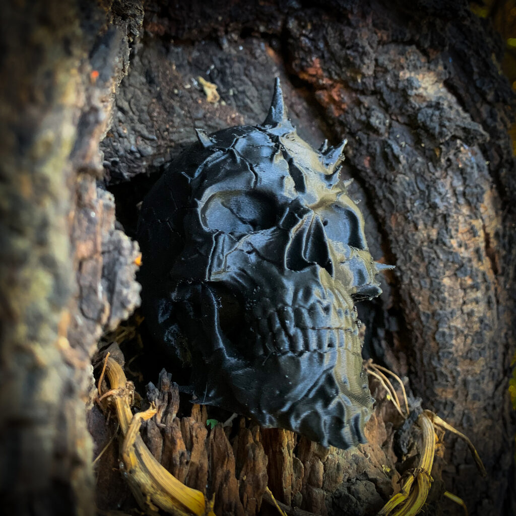 Skull otro ángulo
