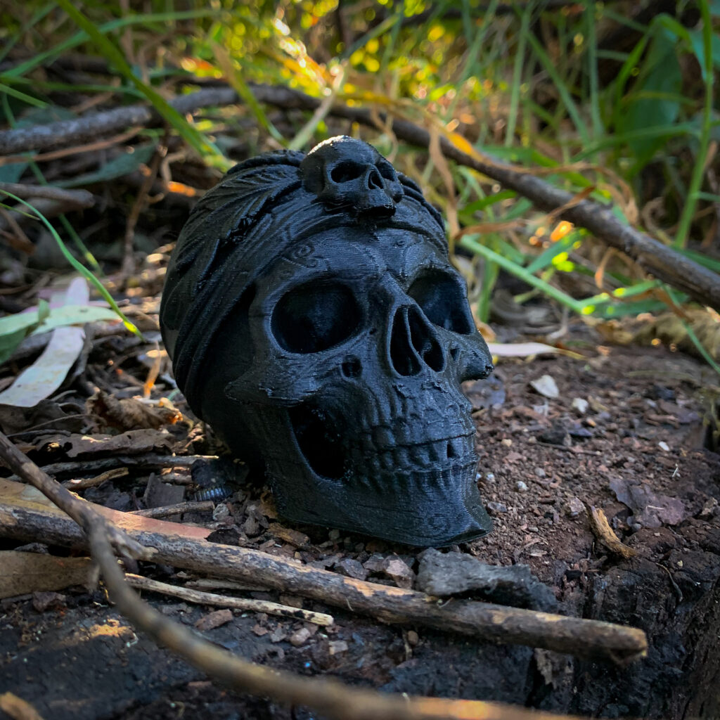 Skull Pirata vista 7