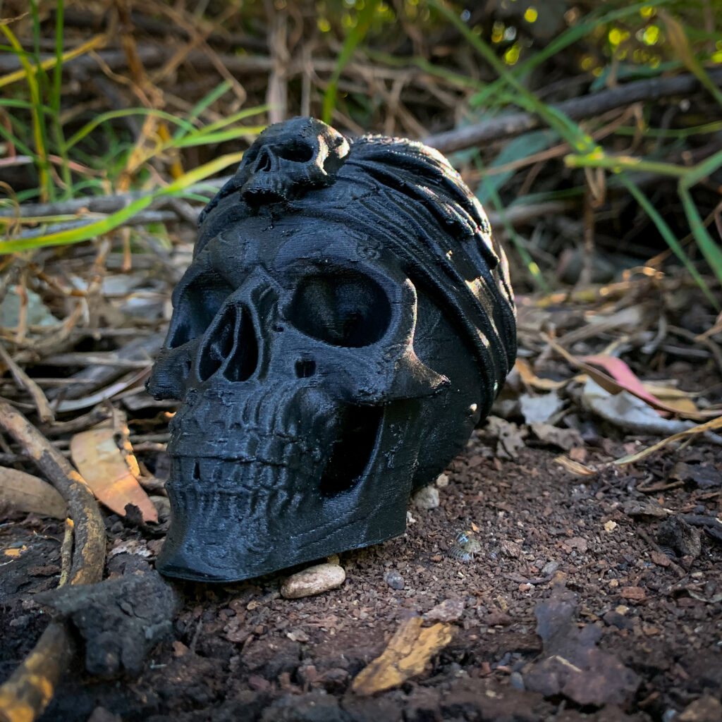 Skull Pirata vista 3