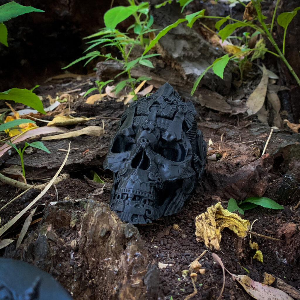 Skull Maya vista 3