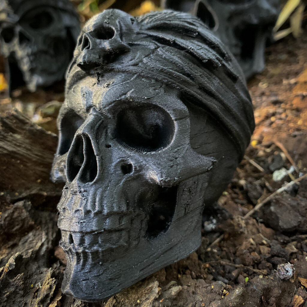Skull Pirata vista 4