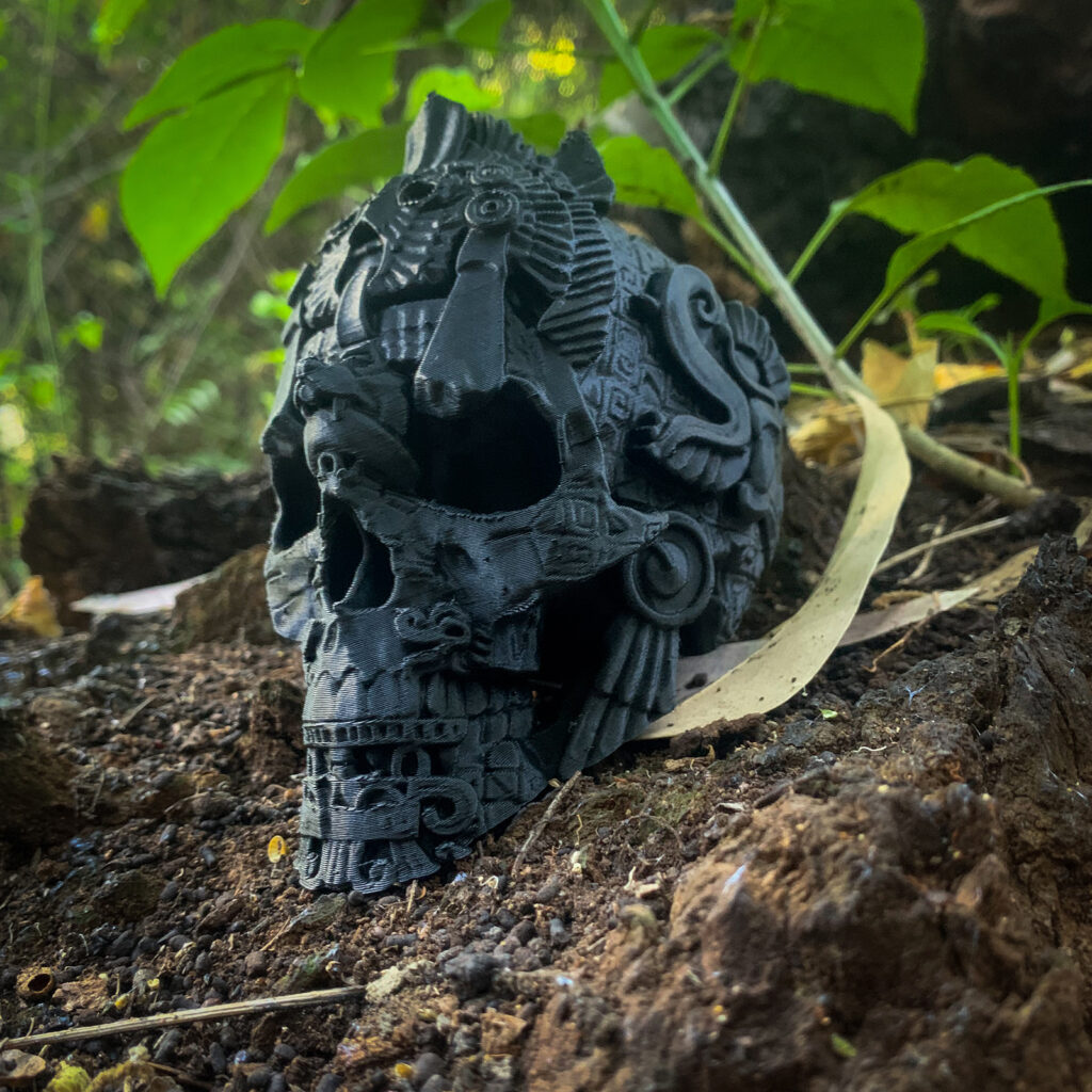 Skull Maya vista 6