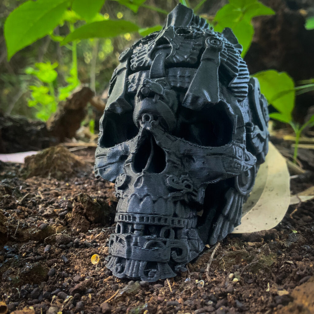 Skull Maya vista 7