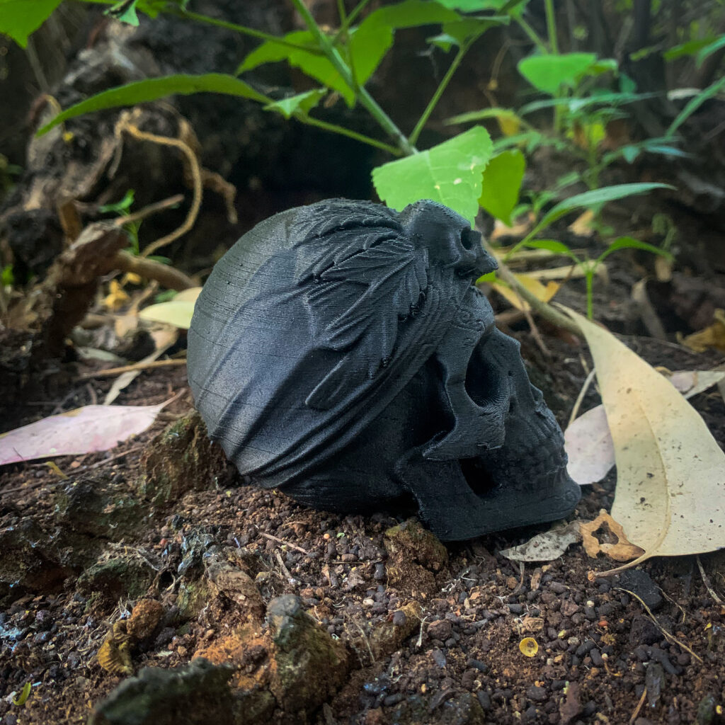 Skull Pirata vista 5