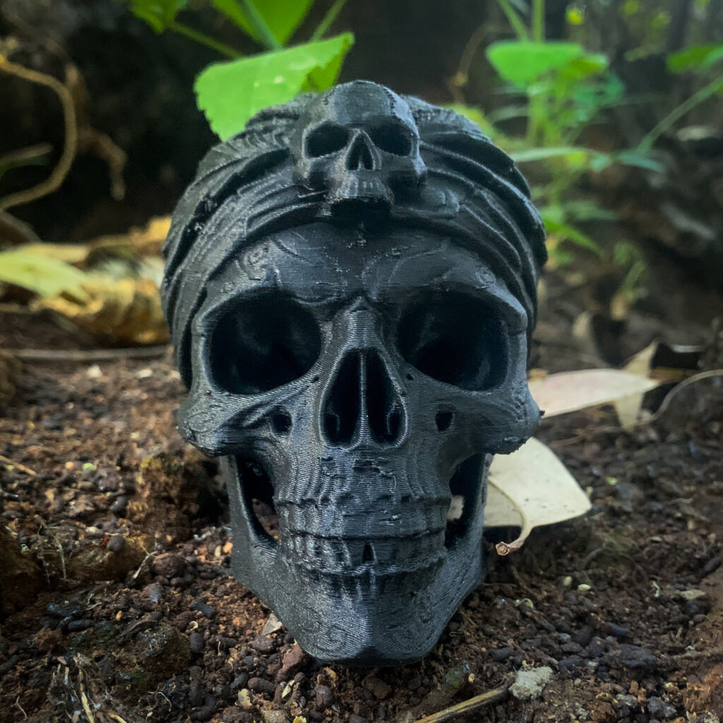 Skull Pirata vista 6
