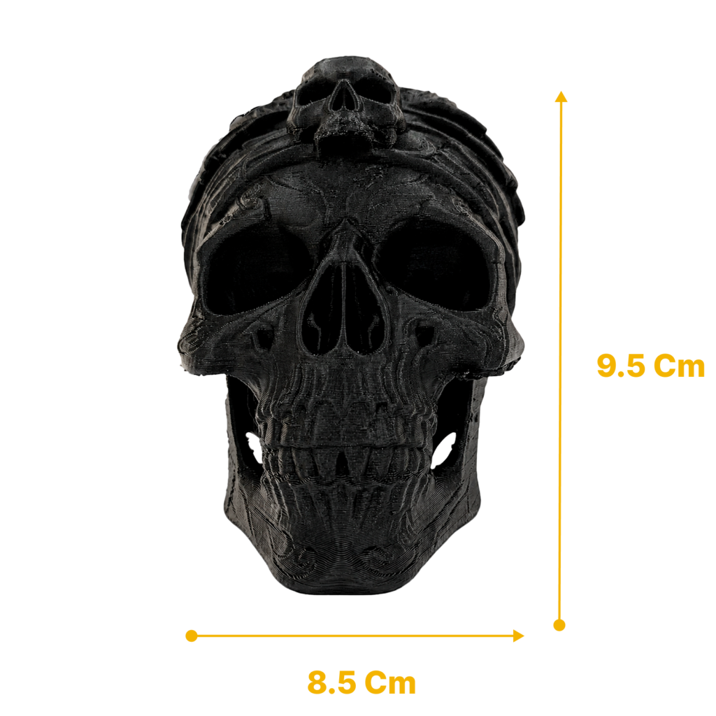Skull Pirata vista 8